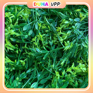 Combo 500g Cỏ Điểm Cỏ Thông Linh Lan Đã Nhặt Sạch Cọng, Cỏ Linh Lan, Làm Trang Trí, Decor, 𝗵𝗮𝗻𝗱𝗺𝗮𝗱𝗲 DUHA 146