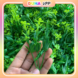 Combo 1kg Cỏ Điểm Cỏ Móc Tai Chuột Dùng Trang Trí Đã Nhặt Sạch Cọng DUHA 146