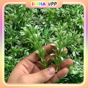 1kg Nhặt Sạch Cúc Họa Mi Cỏ Điểm Hoa Điểm Loại 1 Nhánh 50g DUHA 147
