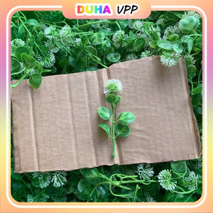 1kg Cỏ Điểm Cành Táo Hoa Trắng Táo Tai Chuột Dùng Trang Trí DUHA 148