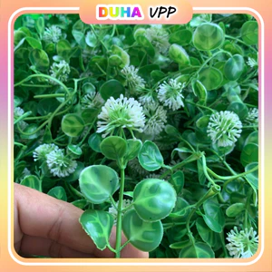 Combo 100g Cỏ Điểm, Cành Táo Rời Trang Trí Bó Hoa Ngẫu Nhiên DUHA 148