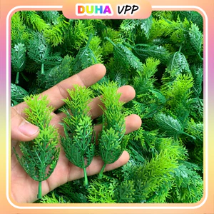 Combo 500g Lá Tùng Cỏ Rêu Lá táo Kim Giả Trang Trí Giỏ Quà Siêu Xinh, Cỏ Vặt Sạch Cọng DUHA 149