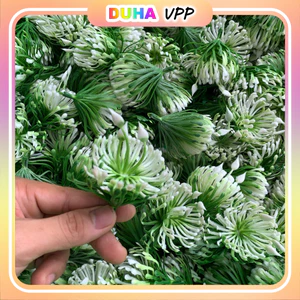 Túi 1kg Cỏ Điểm Cỏ Thông Ký Cắm Hoa Đã Nhặt Sạch Dây Cọng Trộn Nhiều Mẫu DUHA 150