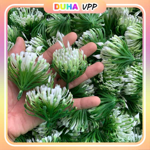 Combo 500g Cỏ Điểm Cỏ Thông Tùng Cỏ Thông Ngắn Chưa Nhặt Gọng DUHA 150