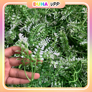 Bịch 1kg Cỏ Điểm, Cánh Táo, Cỏ Móc Sen Đá, Lá Táo, Dương Sỉ Trang Trí Mẹt Tết, Tháp, Oản, Phụ Kiện Tết 2025 DUHA 151
