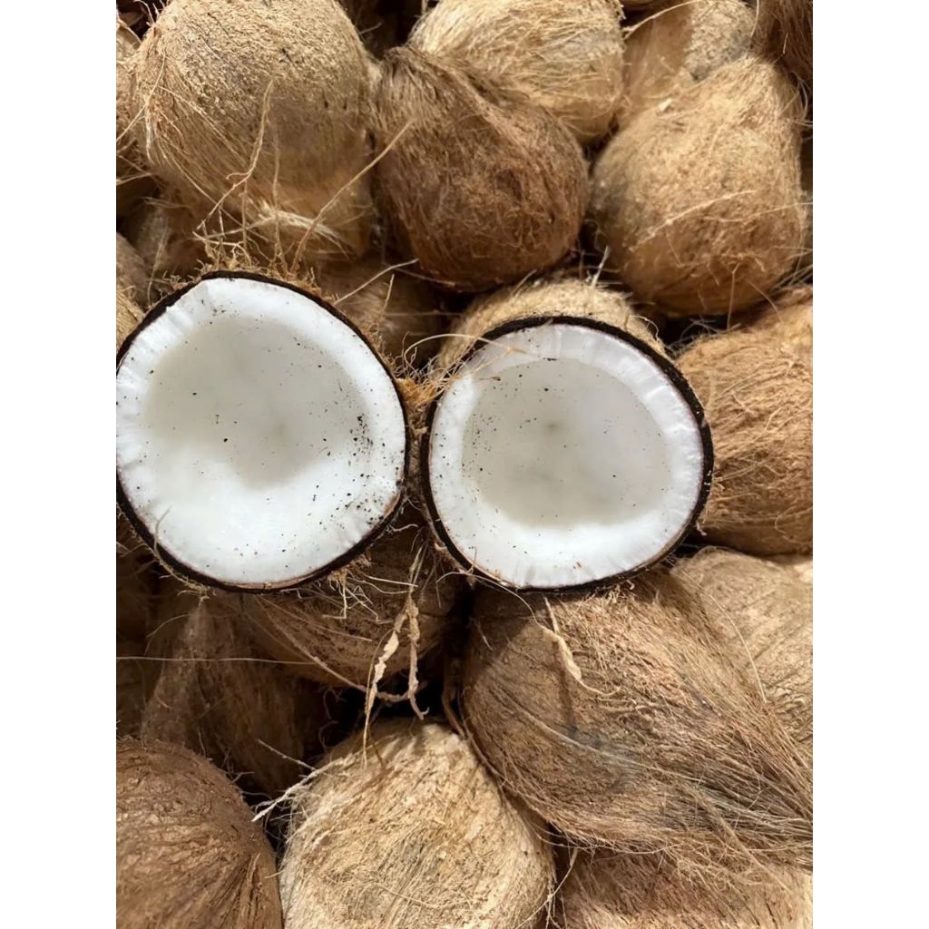 Dừa khô đã lột vỏ loại 1kg - 1.3kg nguyên liệu dùng để làm bánh mức, nấu chè kho thịt, dầu dừa...
