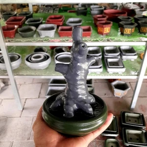 chậu cây bonsai đúc nguyên khối