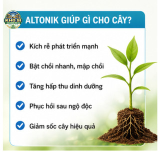 COMBO 10 GÓI ATOMIX X 10ML – PHA TỚI 250 LÍT – KÍCH CHỒI, BUNG ĐỌT MẠNH, RA RỄ NHANH
