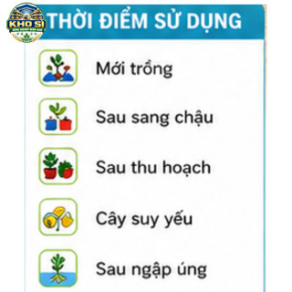 COMBO 10 GÓI ATOMIX X 10ML – PHA TỚI 250 LÍT – KÍCH CHỒI, BUNG ĐỌT MẠNH, RA RỄ NHANH
