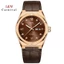 Đồng Hồ I&W Carnival 751G Chính Hãng - Kính Sapphire, BH 5 Năm