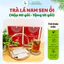 Trà Lá Nam Sen ỔI Thảo Dược Zone - Hộp 60 Gói Tặng 10 gói - 1 Gói Pha Với 500ml - 700ml