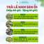 Trà Lá Nam Sen ỔI Thảo Dược Zone - Hộp 60 Gói Tặng 10 gói - 1 Gói Pha Với 500ml - 700ml
