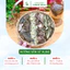 Trà Lá Nam Sen ỔI Thảo Dược Zone - Hộp 60 Gói Tặng 10 gói - 1 Gói Pha Với 500ml - 700ml