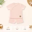 Bộ Cộc Tay Chất Liệu Petit Mềm Mịn Cho Bé Từ 0-9M UR 539