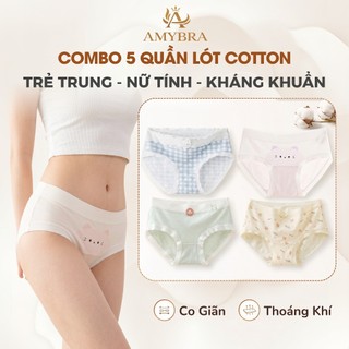 [ MẪU MỚI ] Combo 5 Quần Lót Cotton Mềm Mại, Set 5 Quần Lót Đáy May Kháng Khuẩn AMYBRA New