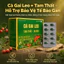 Viên uống CÀ GAI LEO TAM THẤT XẠ ĐEN 50V hỗ trợ giải độc gan, thanh nhiệt, mát gan