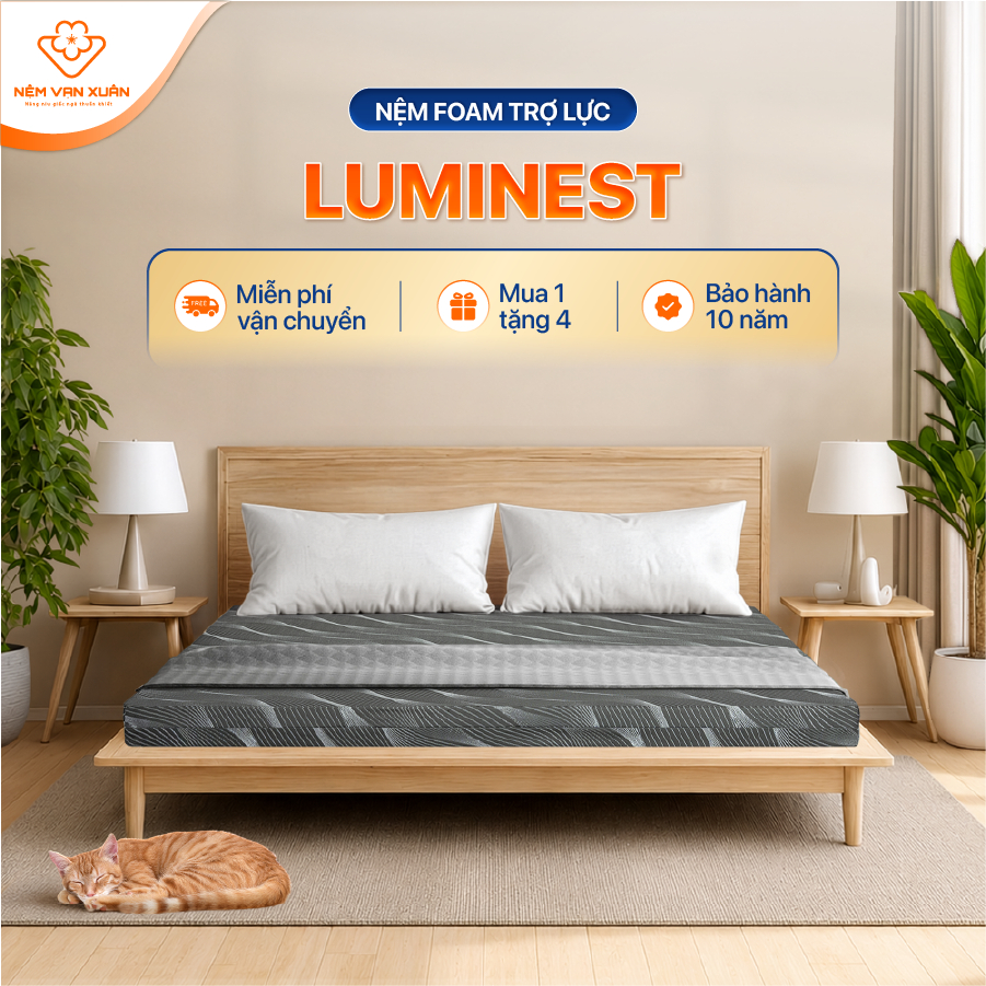 [HỎA TỐC HCM] Nệm Foam Trợ Lực LumiNest Vạn Xuân Êm Ái Đàn Hồi Tối Ưu Nâng Đỡ Chuyên Sâu