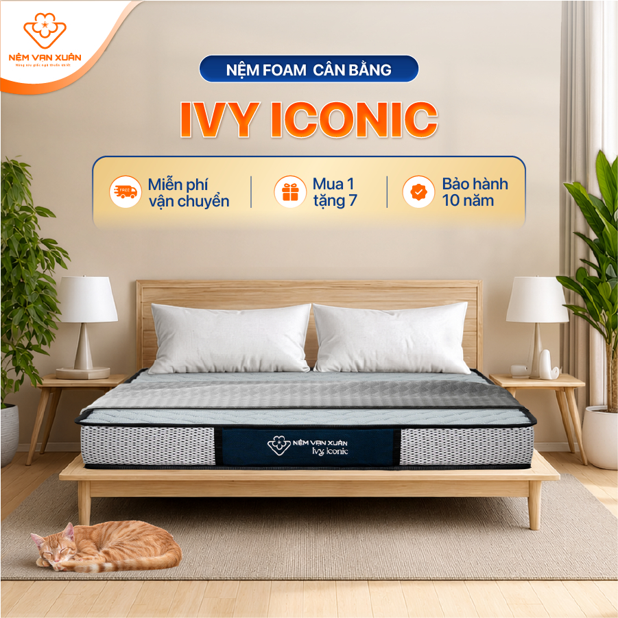 [HỎA TỐC HCM] Nệm Foam Cân Bằng Êm Ái Đàn Hồi Tốt Ivy Iconic Vạn Xuân Nâng Đỡ Hoàn Hảo Bảo Vệ Cột Sống