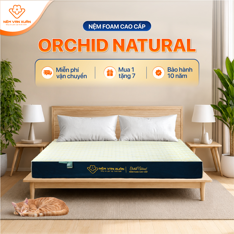 [HỎA TỐC HCM] Nệm Foam Cao Cấp Vạn Xuân Orchid Tốt Cho Người Có Vấn Đề Về Cột Sống Xương Khớp Và Trẻ Nhỏ