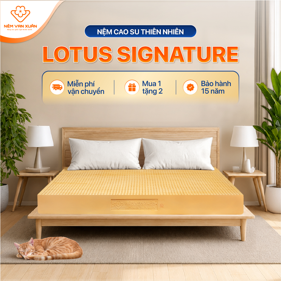 [HỎA TỐC HCM] Nệm Cao Su Thiên Nhiên Truyền Thống Vạn Xuân Lotus Signature Nguyên Khối Nâng Đỡ Cơ Thể