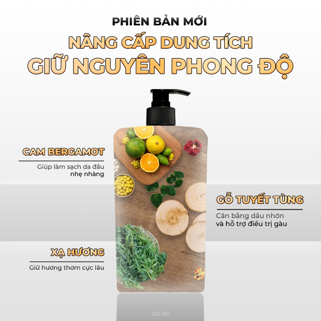 Sữa Tắm Gội 2in1 SOLUL, Combo 2 Chai Kháng Khuẩn, Giảm Gàu, Nước Hoa Nam Tính Cao Cấp [510ml]