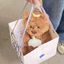 Gấu bông cầm bánh sinh nhật size 35cm - quà tặng sn dễ thương cho bé