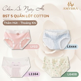 [ BST HÈ ] Combo 5 Quần Lót Đáy May Kháng Khuẩn, Set 5 Quần Chip Cotton Mềm Mại Co Giãn AMYBRA New