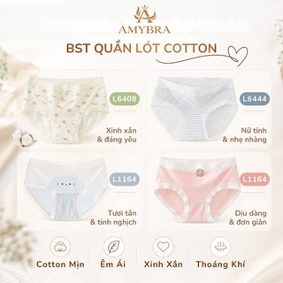 [ MẪU MỚI ] Combo 5 Quần Lót Nữ Cotton Thoáng Khí, Set 5 Quần Chip Nữ Ôm Mông Co Giãn AMYBRA New
