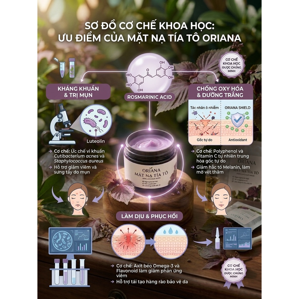 Mặt Nạ Tía Tô Cho Da Nám, Tàn Nhang (  Tặng  Kèm Cọ ) 50g