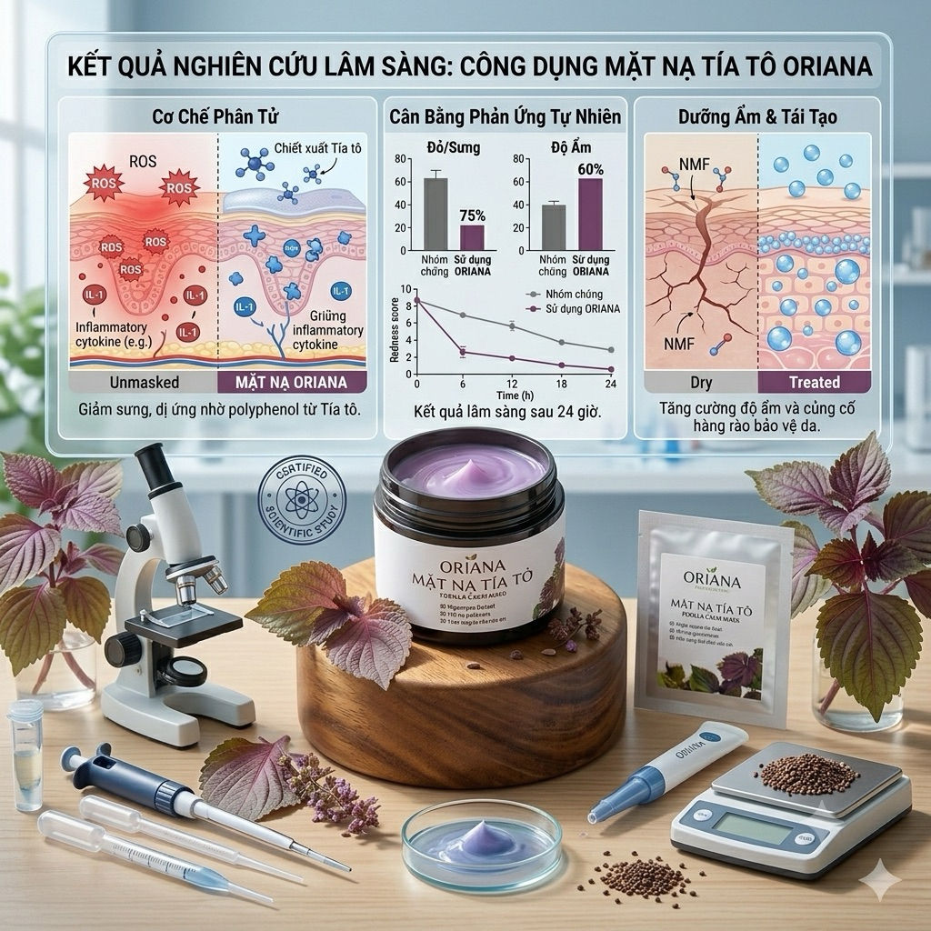 Mặt Nạ Tía Tô Cho Da Nám, Tàn Nhang (  Tặng  Kèm Cọ ) 50g
