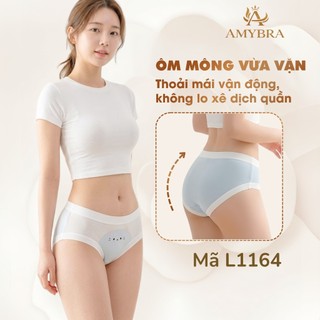 [ BST HÈ ] Combo 5 Quần Lót Đáy May Kháng Khuẩn, Set 5 Quần Chip Cotton Mềm Mại Co Giãn AMYBRA New