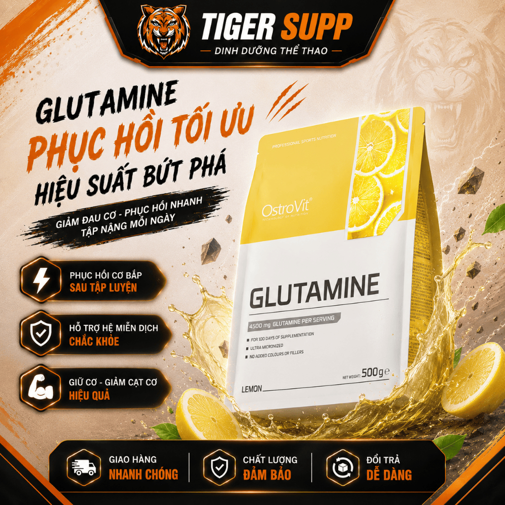 Ostrovit Glutamine 500g – Bổ Sung Sau Tập Hiệu Quả