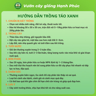 Cây giống TÁO XANH: TÁO ĐÀI LOAN, TÁO LAI LÊ, TÁO CHUA GIA LỘC Chuẩn Giống, Siêu Sai Quả, Dễ Trồng, Năng Suất Cao