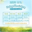 Nước Mắm Nhĩ Nguyên Chất Thuyền Xưa 41N - Cao Đạm Vị Dịu - 100% tự nhiên. Nước Mắm Ăn Dặm Cho Bé