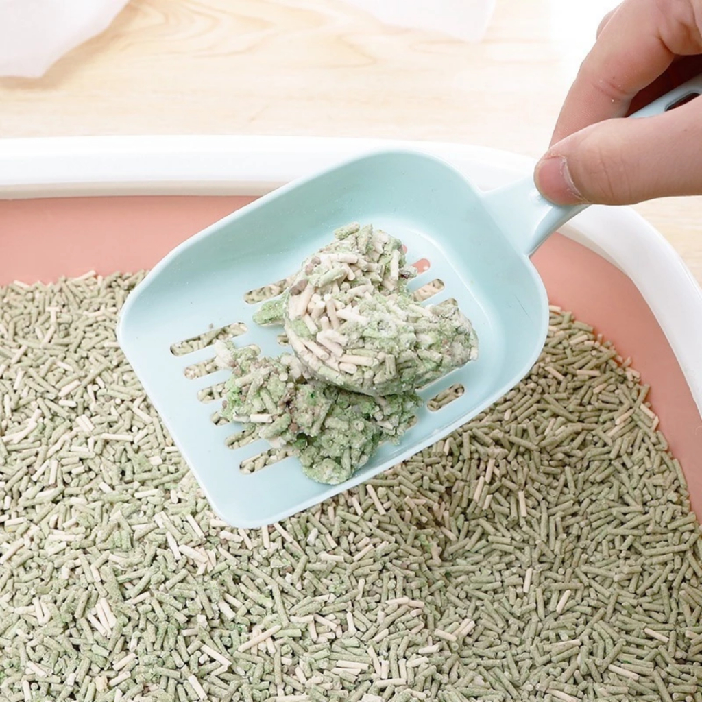 Xẻng Xúc Cát Vệ Sinh Hốt Phân Cho Mèo - Màu Ngẫu Nhiên