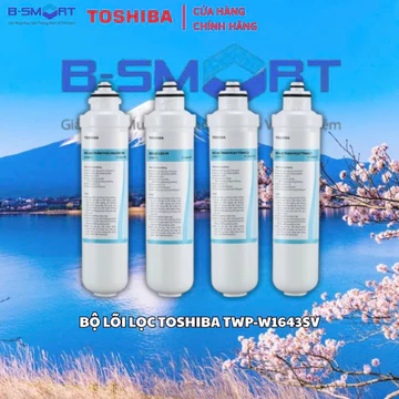Bộ lỗi lọc máy lọc nước nóng lạnh RO Toshiba TWP-W1643SV(W) (thay cho AQUA AWP-M34RO, Và Media)