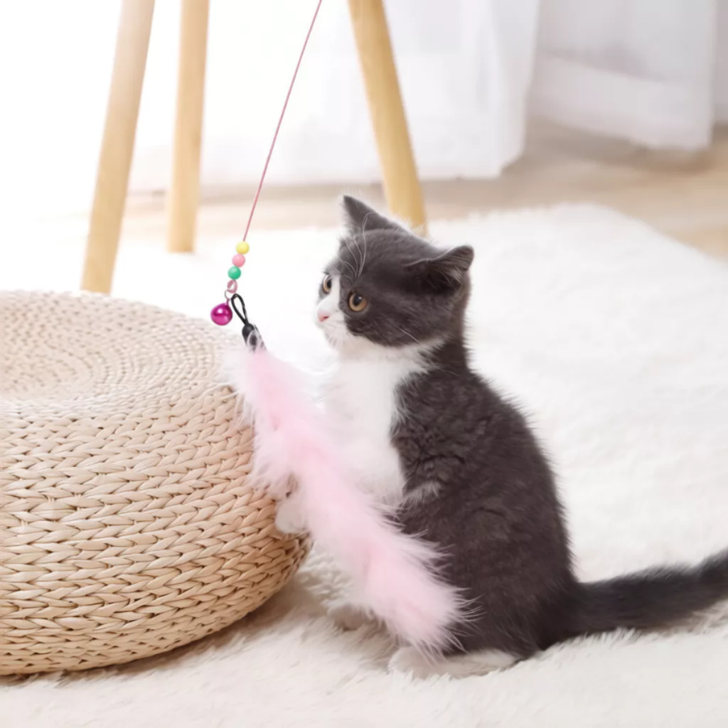 Cần Câu Mèo Dây Thép Gắn Lông Vật Chuông - Gậy Chơi Mèo Kích Thích Vận Động An Toàn