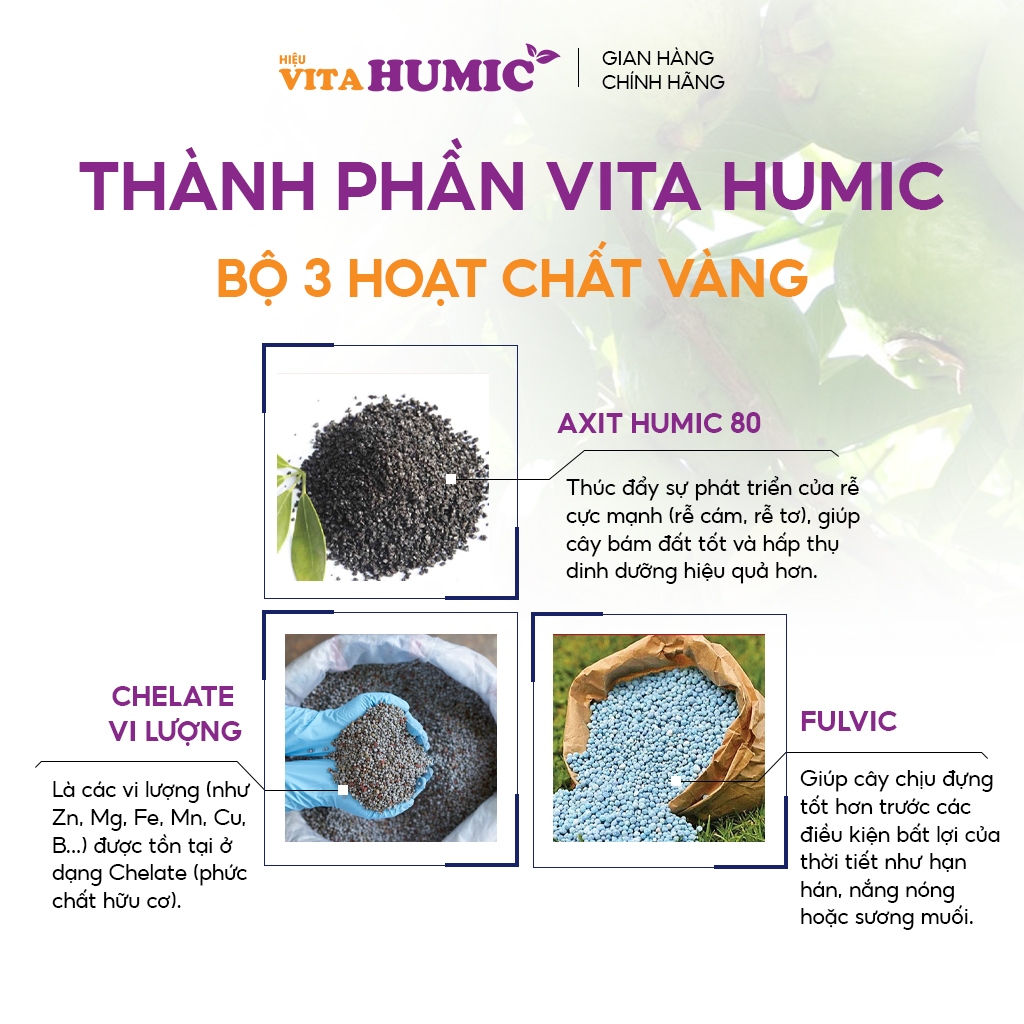 Phân bón VITA HUMIC cho Mít Thái Mít Ruột Đỏ - Siêu kích rễ, chống xì mủ gốc, mập thân, lớn trái (1kg)