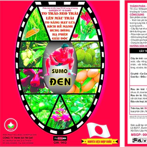 PBL - Sumo Đen (To trái - Lên màu trái)