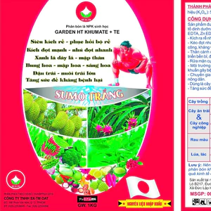 PBL - Sumo Trắng (Siêu kích rễ - Kích đọt mạnh,...)