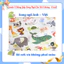 Bảng Gấp Thông Thái Ziczac 300+ Song Ngữ Anh Việt: Nghề Nghiệp, Cảm Xúc, Con Vật, Hình Khối, Màu Sắc