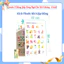 Bảng Gấp Thông Thái Ziczac 300+ Song Ngữ Anh Việt: Nghề Nghiệp, Cảm Xúc, Con Vật, Hình Khối, Màu Sắc