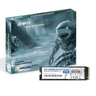 Ổ Cứng SSD SSTC E130 256GB/512GB NVMe M.2 2280 PCIe Gen3 x4 - BH 36 Tháng Chính Hãng