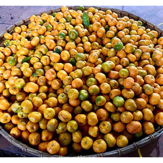 Trà Phổ Nhĩ quýt rừng (từng quả)