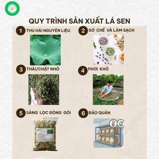 Lá Sen Khô Vụ Mới Xanh 1kg Nguyên Chất | Dược Liệu Khô Chọn Lọc | Thảo Dược Đạt Huyền