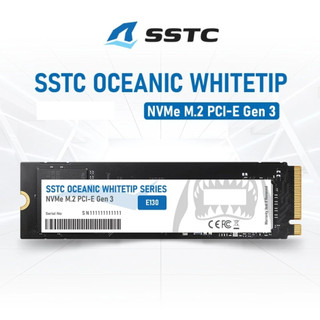 Ổ Cứng SSD SSTC E130 256GB/512GB NVMe M.2 2280 PCIe Gen3 x4 - BH 36 Tháng Chính Hãng
