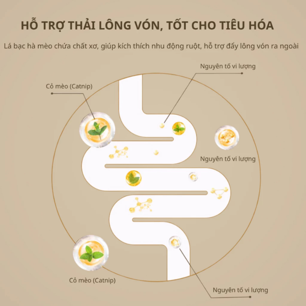 Cỏ Mèo Bạc Hà Catnip Tự Nhiên Cho Mèo - Kích Thích Vui Chơi, Hỗ Trợ Tiêu Hóa