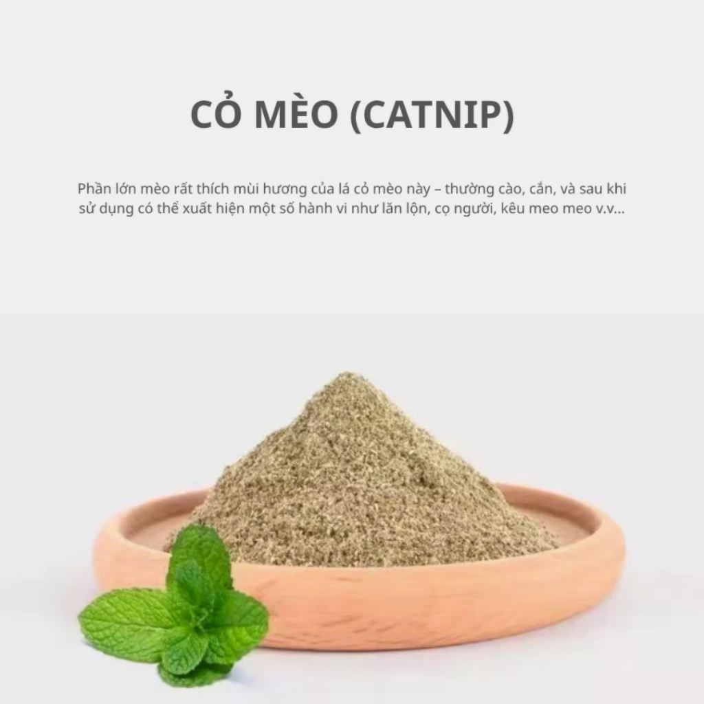 Cỏ Mèo Bạc Hà Catnip Tự Nhiên Cho Mèo - Kích Thích Vui Chơi, Hỗ Trợ Tiêu Hóa
