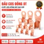 10 cái Đầu cốt đồng nguyên chất OT 10 A đến 50A