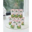 Thùng Sữa Tươi Hữu Cơ Arla Vị Dâu (Thùng 12 Hộp x 200ml)